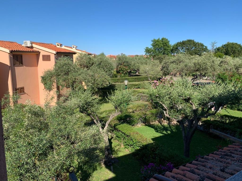Bilocale Residence Gli Ulivi San Teodoro سان تيودورو المظهر الخارجي الصورة